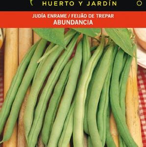 Vainas de judías verdes frescas en una bandeja, ideal para huerto y jardín, variedad abundancia.