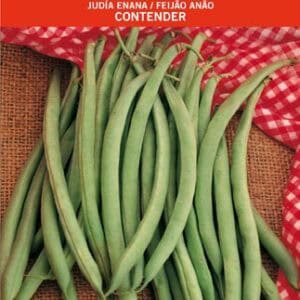 Bacalao en semilla, variedad de judía en paquete para plantar y cosechar delicias caseras.