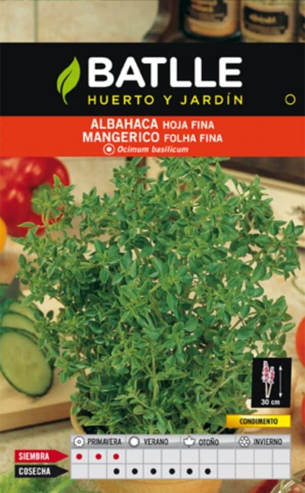 Albahaca en semilla para huerto y jardín, ideal para cocina y aromatizar platos.