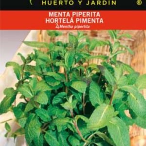 Menta piperta en envase de semillas para huerto y jardín, perfecta para cultivar en casa en todas las estaciones.