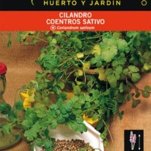 Cilantro semillas para huerto y jardín, cultivo de cilantro en macetas y jardineras, semillas de planta aromática y medicinal, sabor y frescura natural.