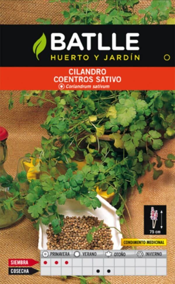Cilantro semillas para huerto y jardín, cultivo de cilantro en macetas y jardineras, semillas de planta aromática y medicinal, sabor y frescura natural.