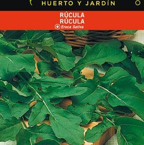 Rúcula ecológica para ensaladas, cultivo orgánico en huerto y jardín, saludable y fresca.