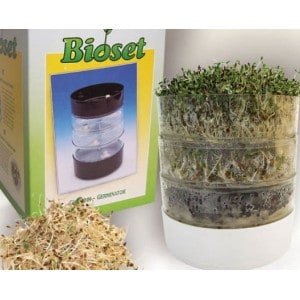 Mini cultivo hidropónico Bioset en jarra con plantas verdes.