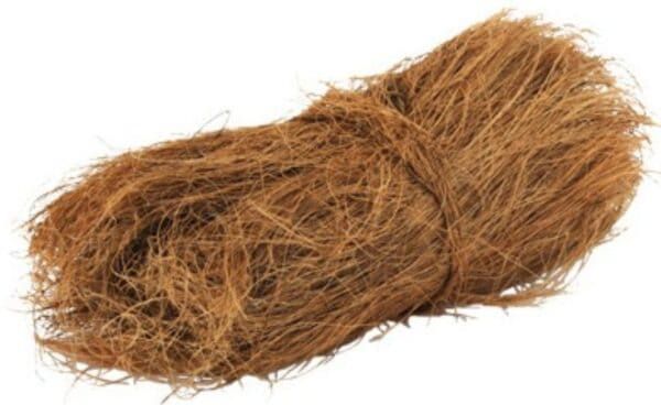 Raíz de coco natural para decoración y artesanía, ideal para centros de mesa y proyectos creativos.