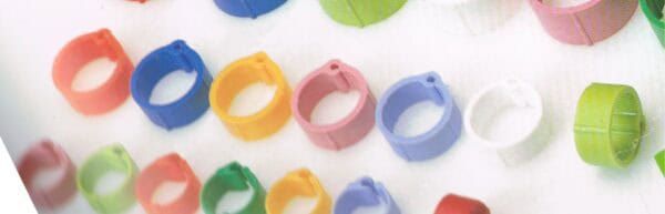 Pulseras de silicona multicolores para niños y adultos, accesorios de moda para eventos.