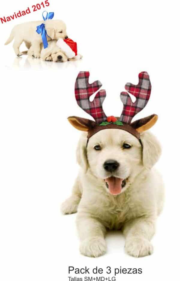 Perrito cachorro con casquito navideño y cuernos de duende en Navidad 2023.