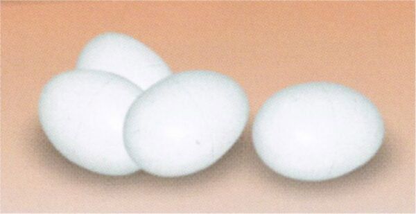 Huevos blancos de aspecto natural, ideales para manualidades y decoraciones creativas.