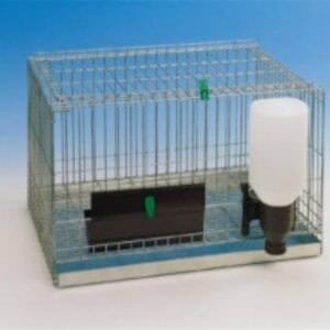 Gato en jaula con dispensador de agua y comida para mascotas.