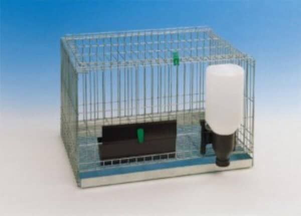 Gato en jaula con dispensador de agua y comida para mascotas.