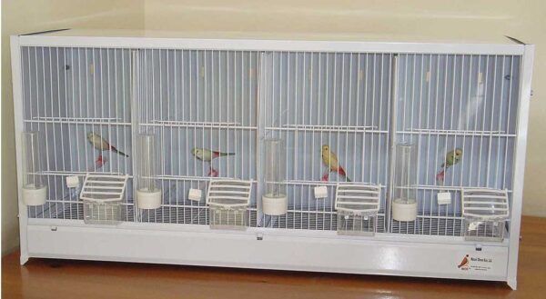 Nido para aves en jaula blanca con pajaritos de colores, ideal para mascotas en tienda online TodoMASKOTAS.