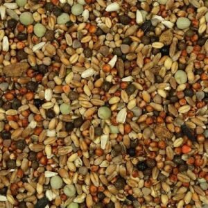 Semillas para aves variadas, mezcla de semillas para alimentación de pájaros, alimento natural para aves en casa.