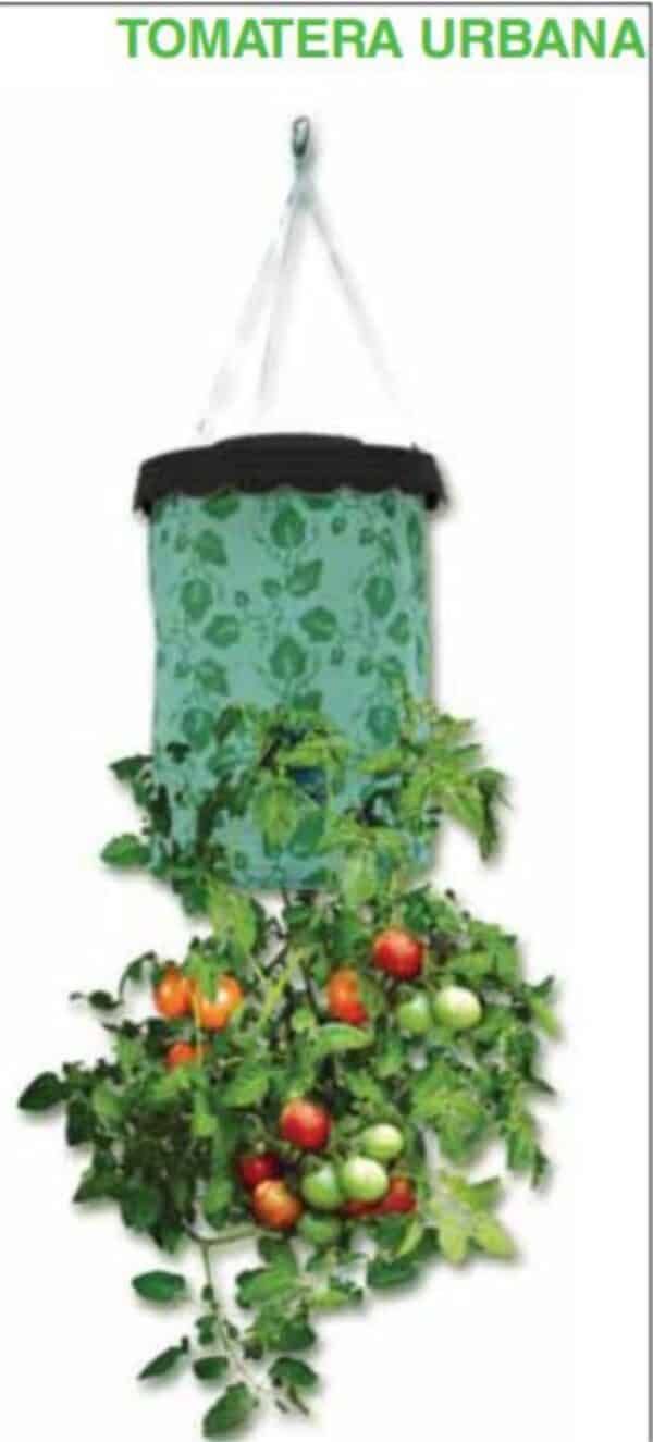 Ecosistema urbano con tomates y plantas en maceta decorativa, tienda online TodoMASKOTAS.
