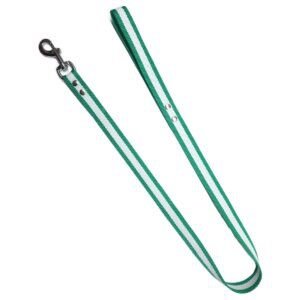 Correa para mascotas de tela con clip y ojales, ajustable y resistente, ideal para perros y gatos.