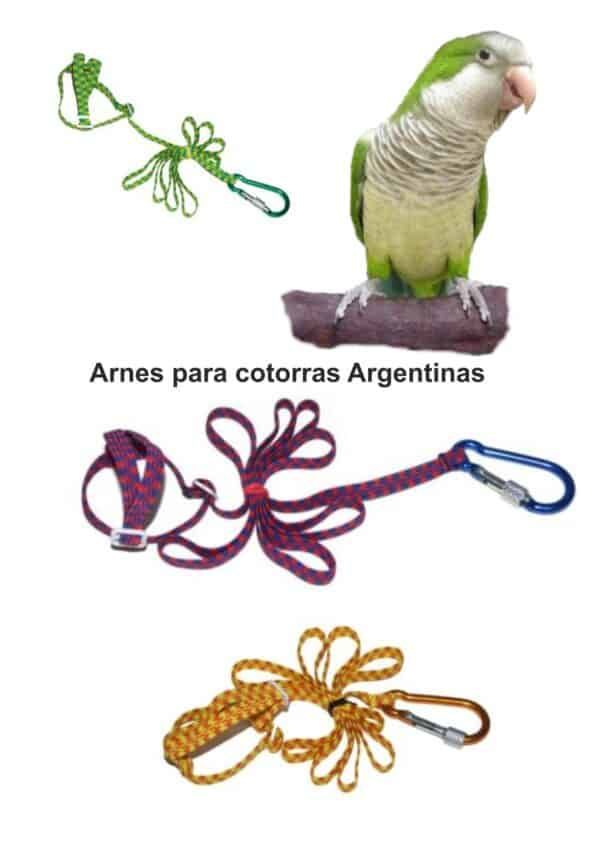 Arnes para cotorras argentinas, cuerda de seguridad para aves, accesorios para aves en tienda online TodoMASKOTAS.