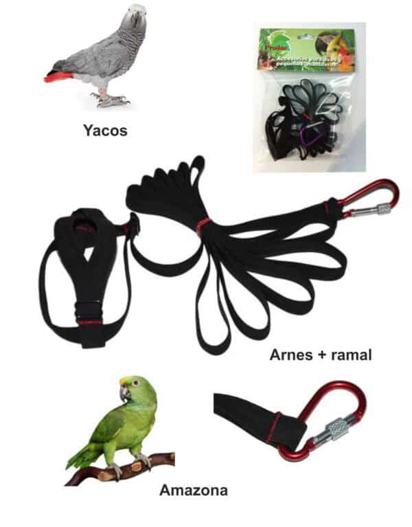 Cadena para aves, arnés y rampa para perros, accesorios para mascotas pequeñas.