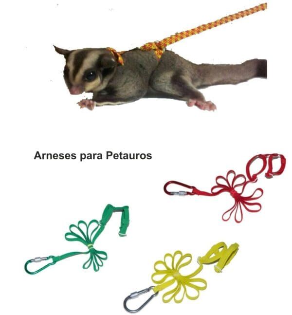 Cuerda para perro con arnés en colores rojo, verde y amarillo para mascotas.