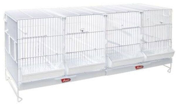 Valla para exhibición de mascotas en tienda, estructura metálica blanca.