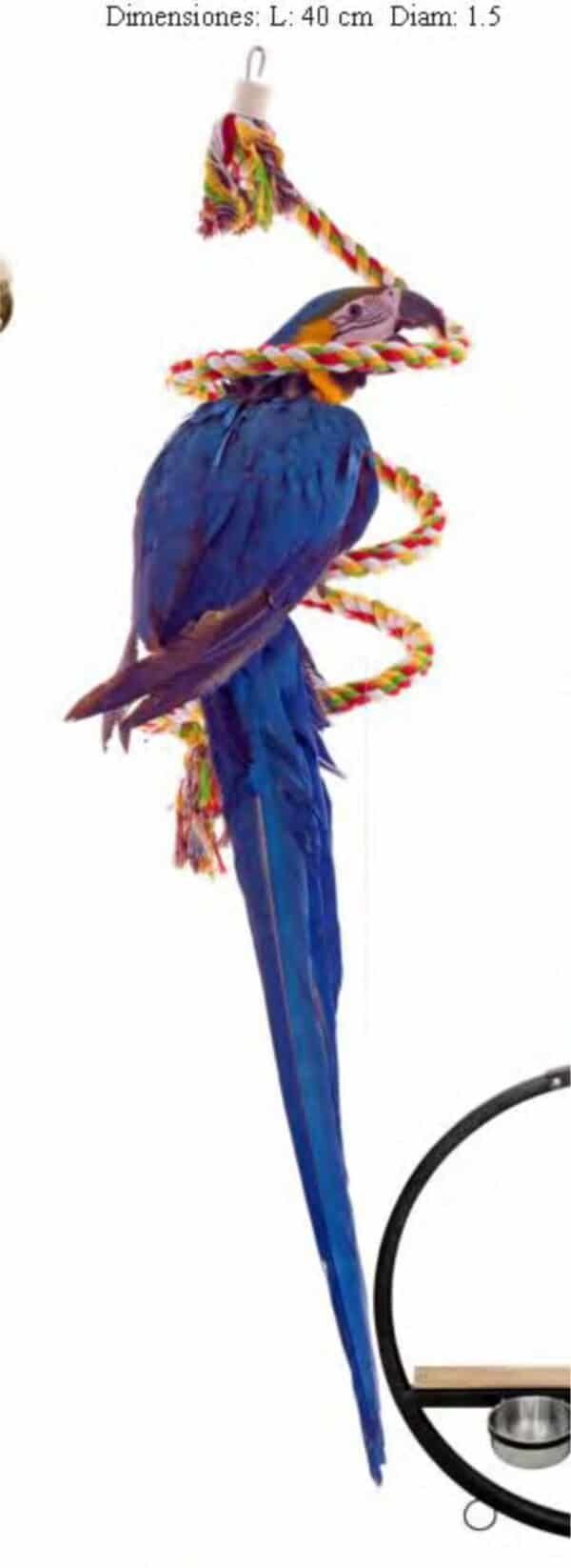 Balao de plata y periquito de colores en juguete para mascotas, tienda online TodoMASKOTAS.