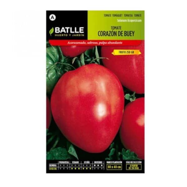 Tomate corazón de Buey semillas para cultivo ecológico, huerto y jardín, planta de tomates robusta y sabrosa.