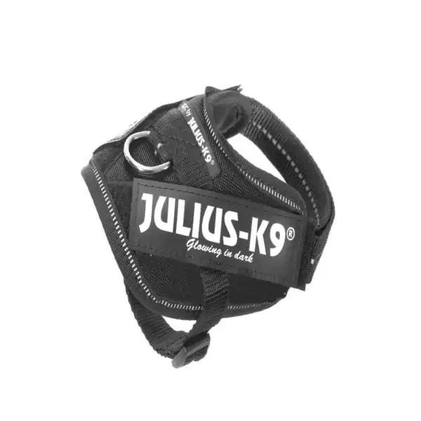 Correa para perros Julius-K9 ligera y resistente, perfecta para adiestramiento y paseos seguros.