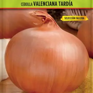 cebolla valenciana tardia sel.fallera