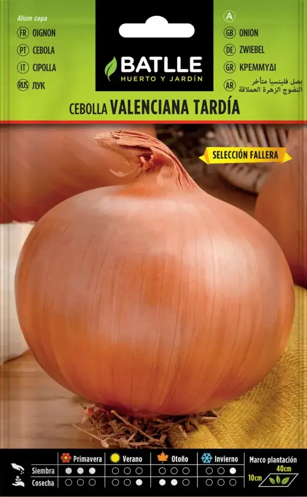 cebolla valenciana tardia sel.fallera