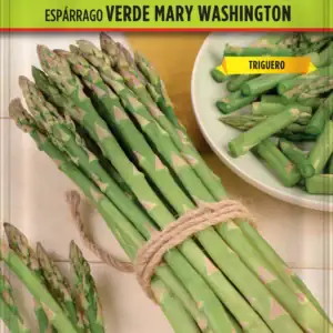 esparrago verde mary washin.sobre