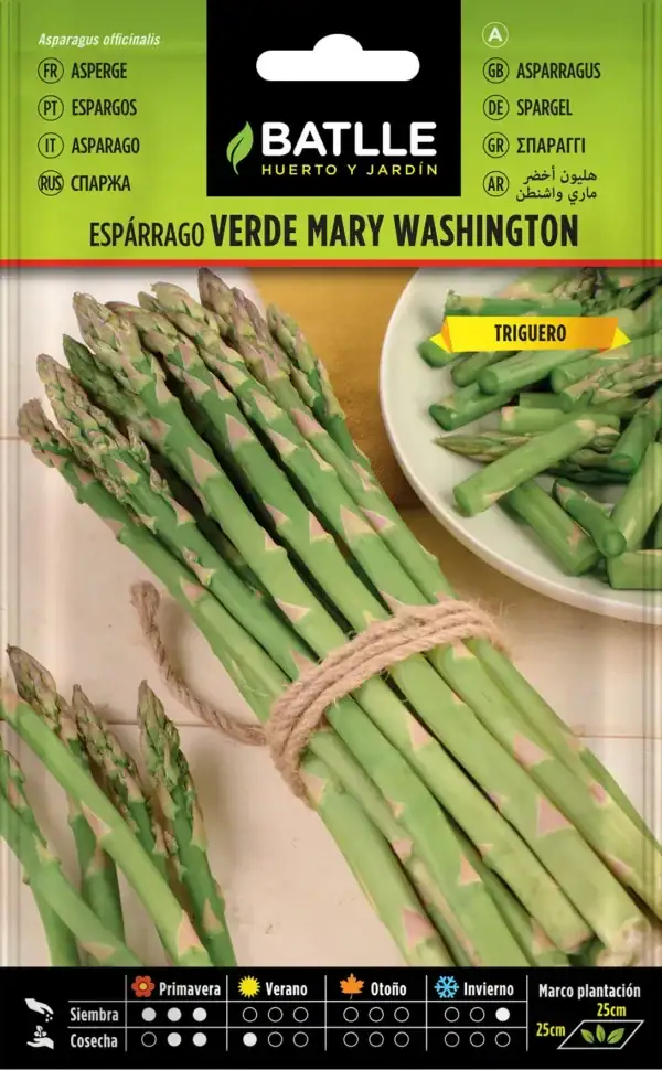 esparrago verde mary washin.sobre