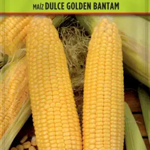 Paquete de semillas de maíz dulce Golden Bantam.