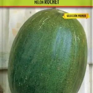 Melón Rochet de Batlle: semillas de melón de alta calidad.