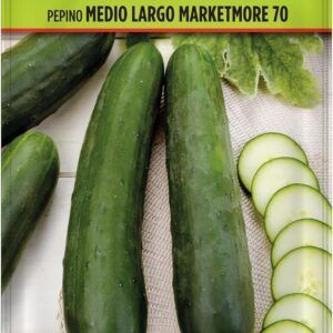 pepino marketmore 1/2largo