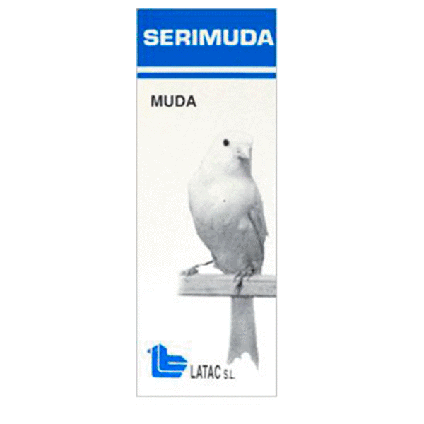 Alto texto: Pájaro de juguetes en caja de embalaje de leche, ideal para disfraces y decoraciones.