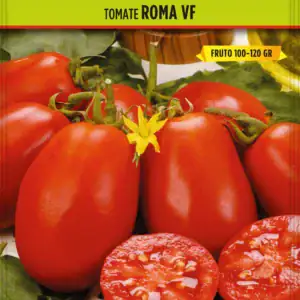 Paquete de semillas de tomate Roma VF con tomates frescos.