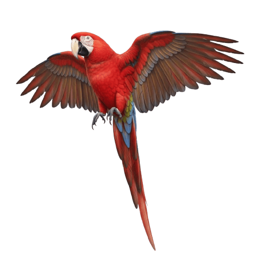 Tamaño de archivo: bird_parrot.png.