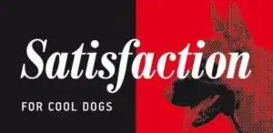 Perro de peluche con camiseta "Satisfaction" en tienda online TodoMASKOTAS.