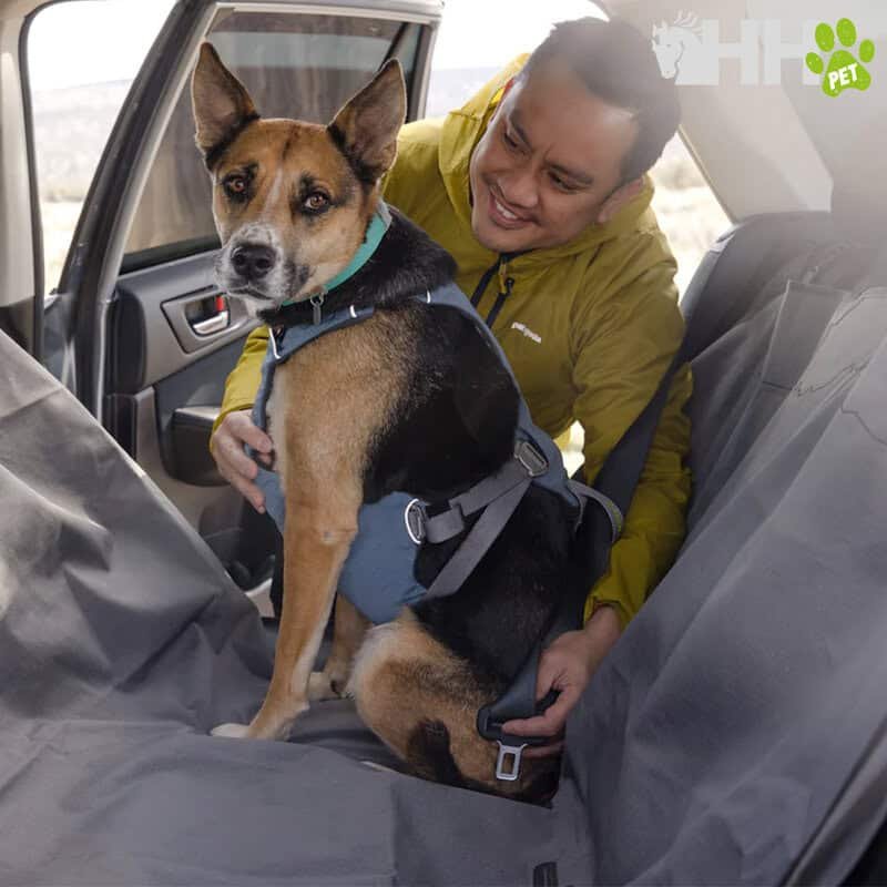 Guía de perros con arnés para viajes en coche - Tienda online TodoMASKOTAS.