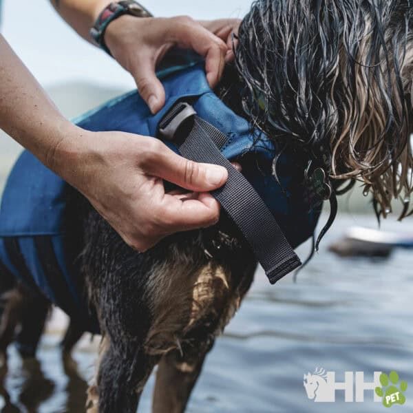 Correa para perros ajustable en agua, resistente y cómoda para mascotas, ideal para actividades acuáticas en el mar o río.