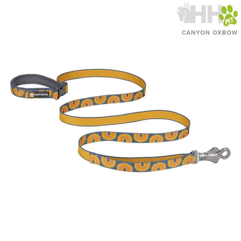 Correa para perros con diseño de logotipo UGA en color amarillo y azul.