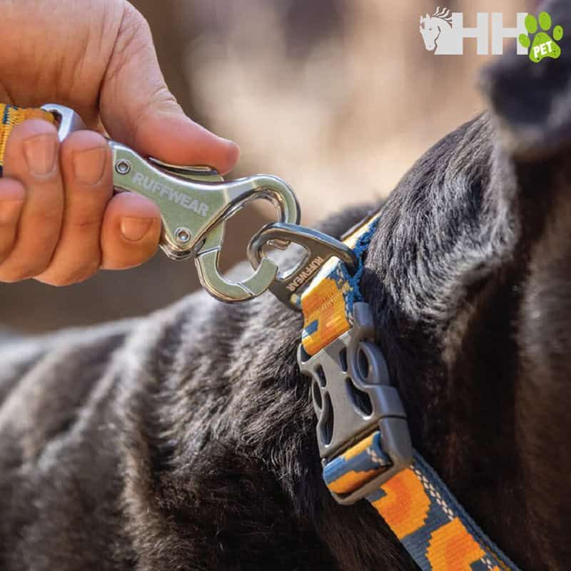 Correa para perro con clip metálico y diseño colorido, resistente y cómoda para paseos seguros.
