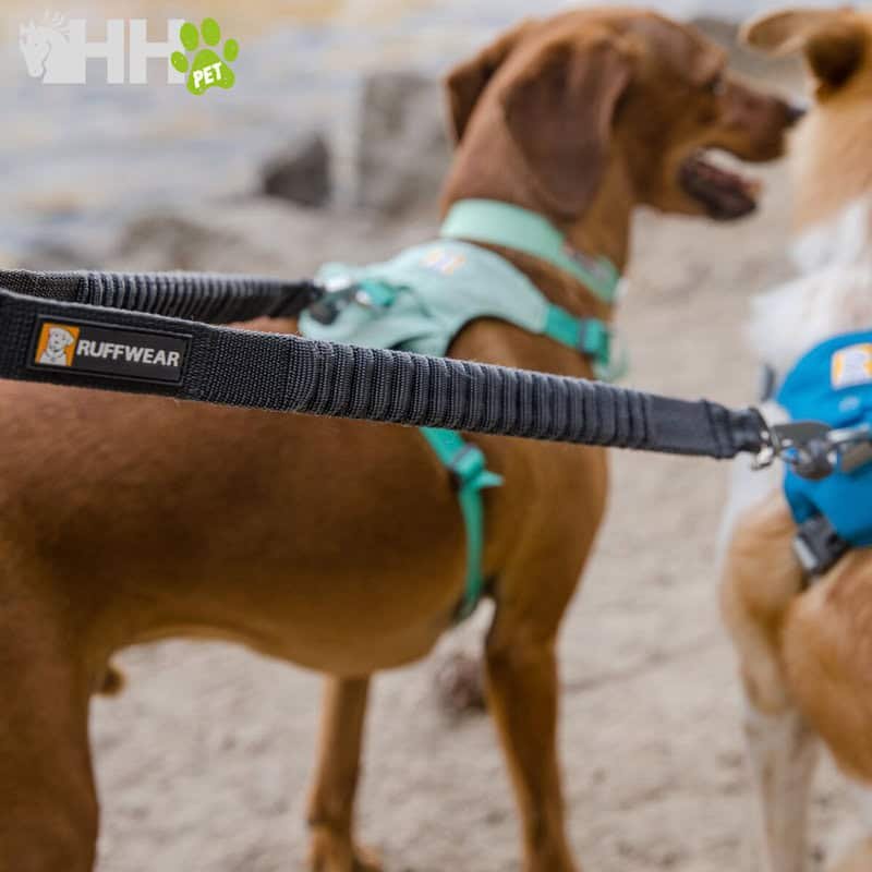 Arnés para perros Ruffwear en color verde en la tienda online TodoMASKOTAS.