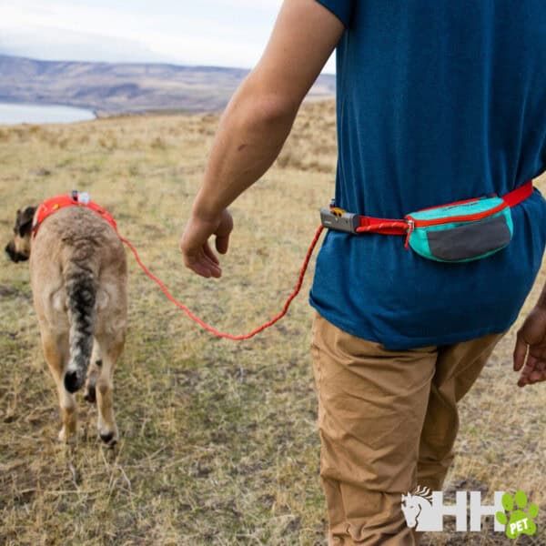 Pouch de seguridad para perros en exteriores, práctico y funcional para paseos largos, con guante y clip de fácil uso.