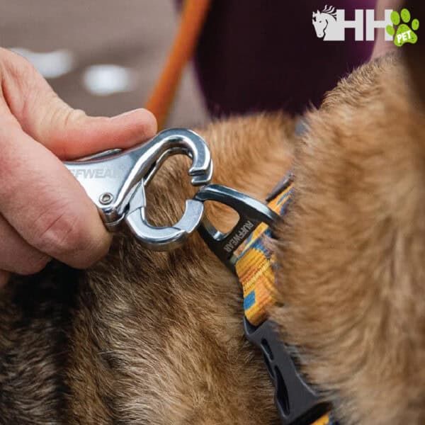 Collar para perros Ruffwear en azul con etiqueta y clip de seguridad.