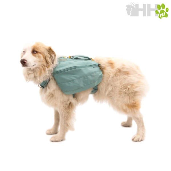 Accesorios para perros con mochila, tienda mascotas online TodoMASKOTAS.