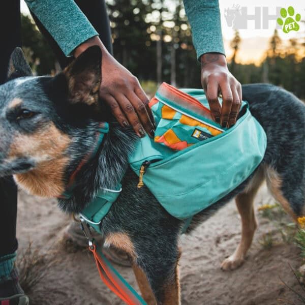 Bolsa para perros en outdoor, ideal para paseos y aventuras con tu mascota en TodoMASKOTAS.