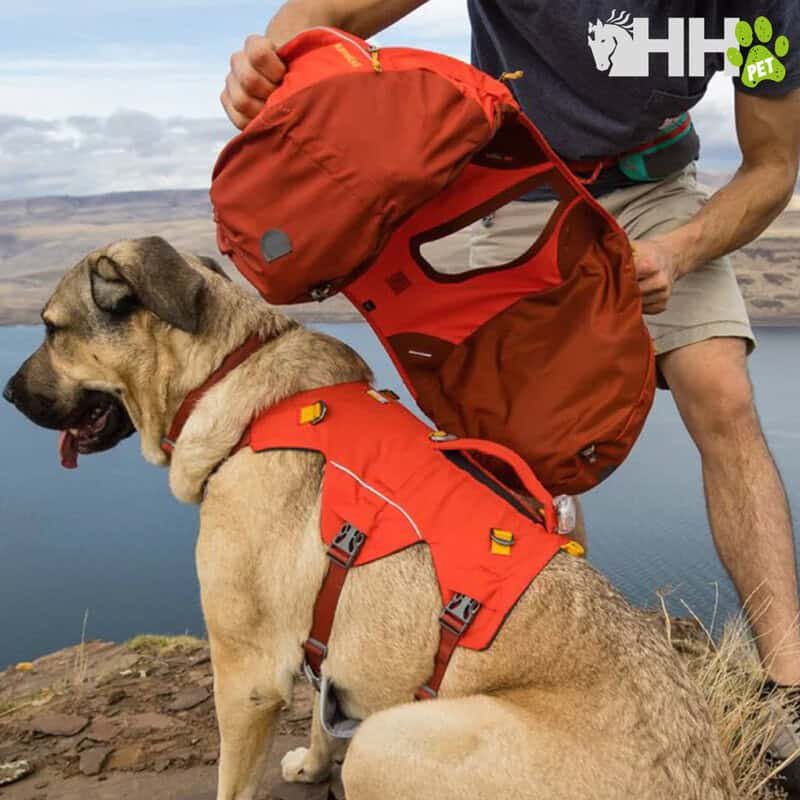 Mochila y arnes para perros en color naranja para senderismo y actividades al aire libre.