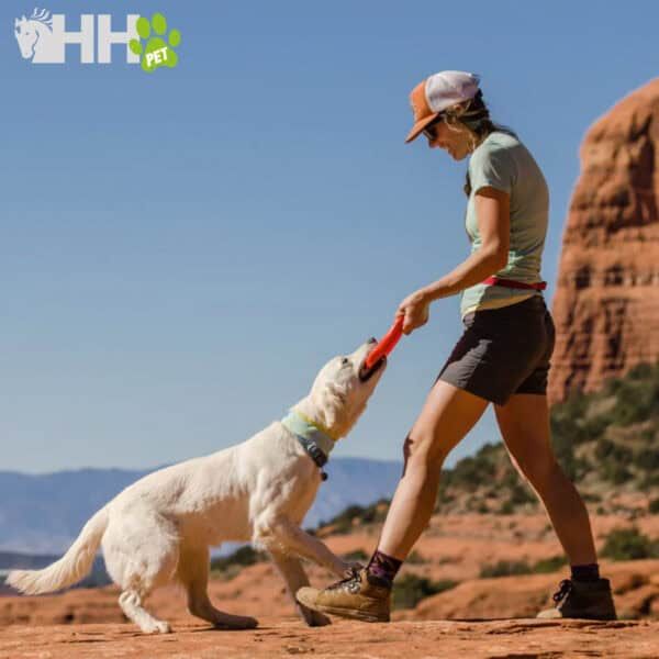Juguete de tracción para perros en exteriores, ideal para entrenamiento y diversión activa.
