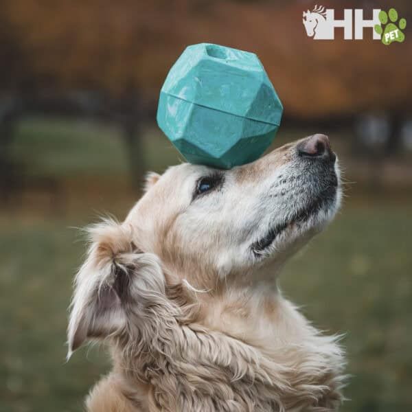 Fiable pelota de perro de peluche para entrenamiento y juego. Adorable y segura, perfecta para mascotas de todas las edades. Tienda online TodoMASKOTAS.