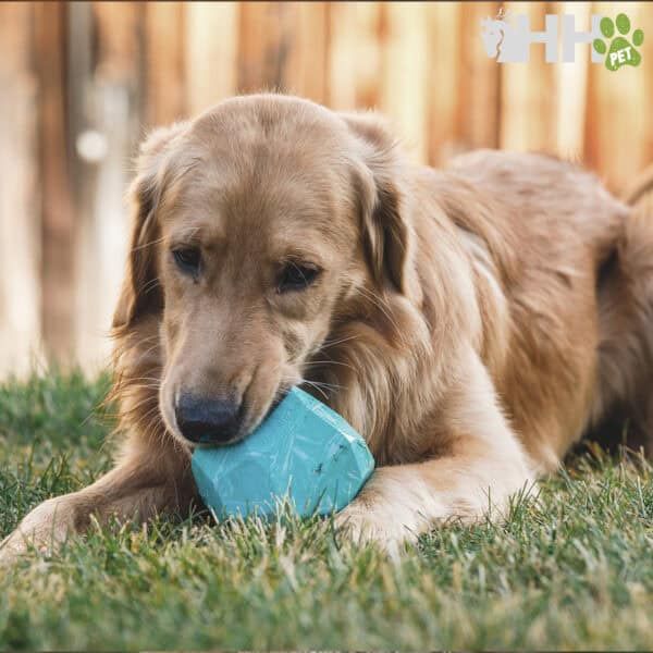 Juguete de perro de felpa azul, ideal para mascotas, en tienda online TodoMASKOTAS.