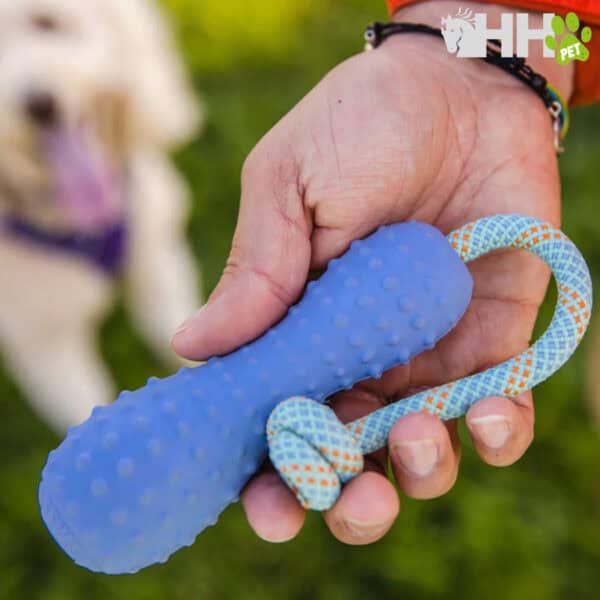 Blue dog toy with rope for pets, flexible and textured, suitable for chewing and play.